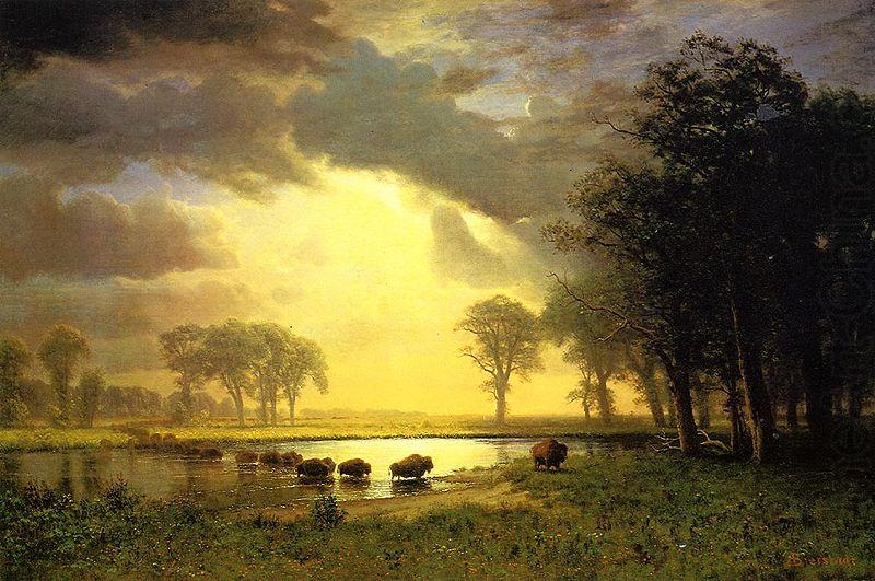 Albert Bierstadt The_Buffalo_Trail china oil painting image